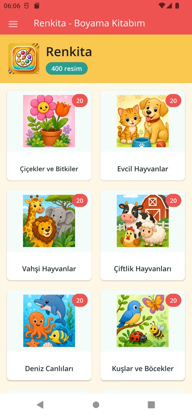 Renkita uygulaması ana ekranı