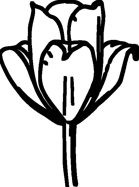 Boyama Sayfası