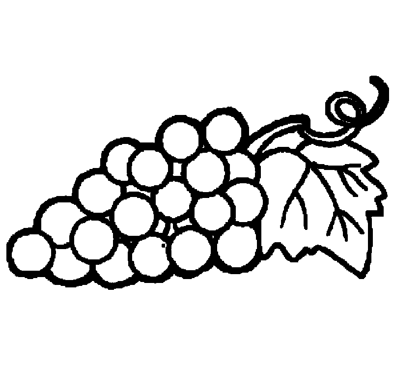 Boyama Sayfası