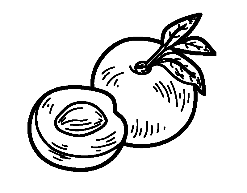 Boyama Sayfası